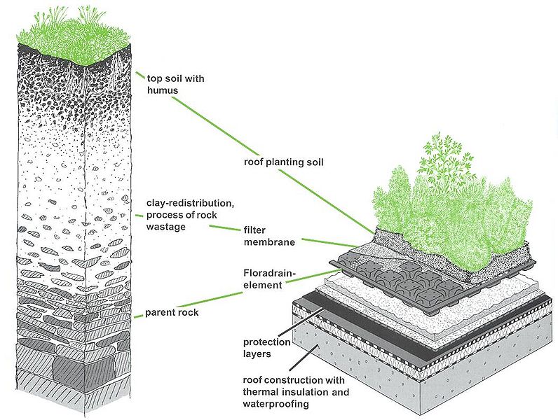 File:Typical native soil vs. Typical Green Roof Profile.jpg