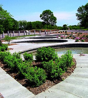 runoff collection pools at arboretum