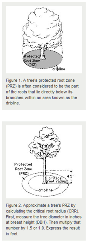 schematic showing protected root zone