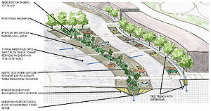 schematic showing a bioretention parking lot island