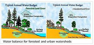 schematic illustrating differences in the water budget between forested and urban watersheds