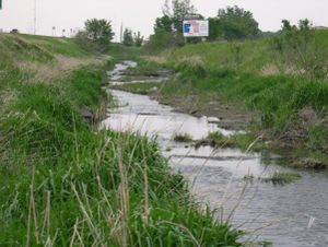 photo of a wet swale