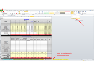 screen shot showing how to create new worksheet