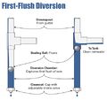 First Flush Device.jpg