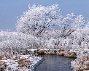 Photo of a snow covered field with a stream