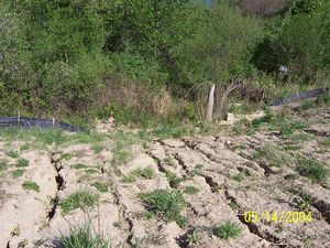 photo showing rill erosion