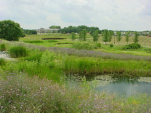 This photo shows an example of a stormwater wetland