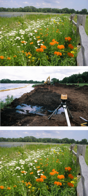 photos illustrating the west shore of Lake Phalen before, during and after restoration