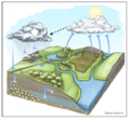 Water cycle.PNG