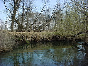 photo of channel erosion along the Vermillion River