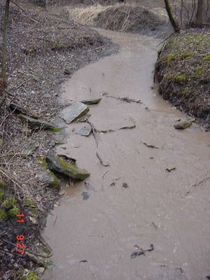 photo polluted creek