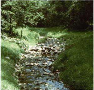 This image shows a picture of a stream buffer
