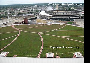 photo showing vegetation free zones on the Target Center green roof, Minneapolis, MN