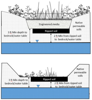 schematic illustrating separation distance from bottom of infiltration BMP and soil ripped zones to water table or top of bedrock
