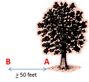 schematic showing where to assess trees