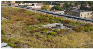 This image shows Green Roof at Edgewater Condominiums Minneapolis