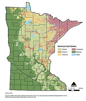map showing dominant soil order of Minnesota