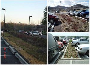 photos illustrating examples of landscaped islands for stormwater treatment in a suburban parking lot