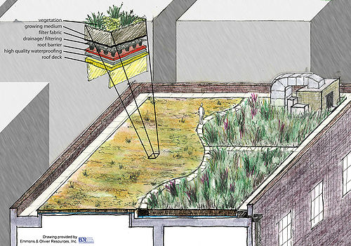 Schematic of green roof