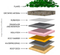Cross-section of a typical green roof.PNG