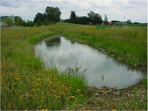 This photo shows a wet detention pond