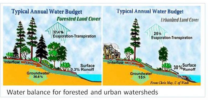 File:Forested urban water balance2.jpg