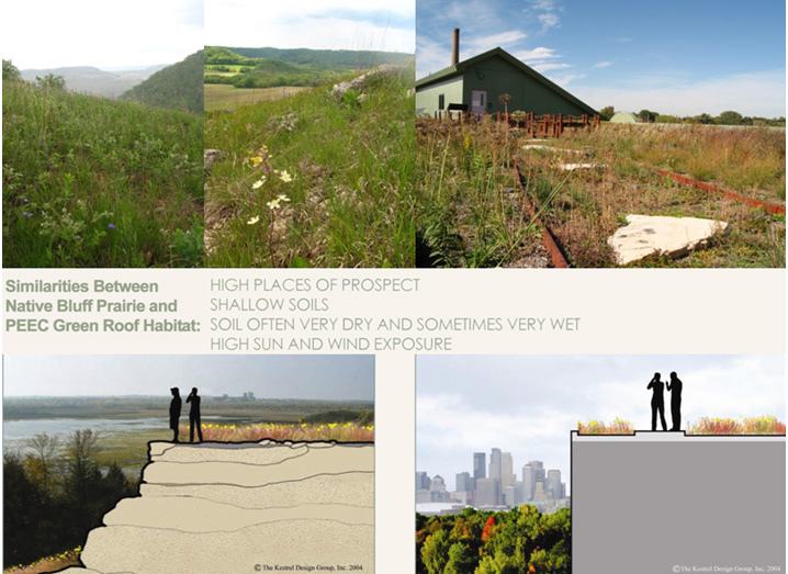 File:Similarities Between Bedrock Bluff Prairies And Green Roof Habitats.jpg