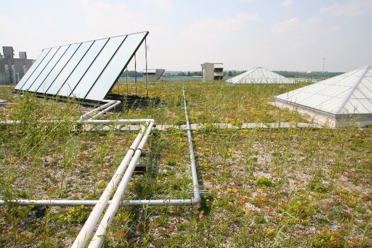 File:Dakotah green roof and solar panels.jpg