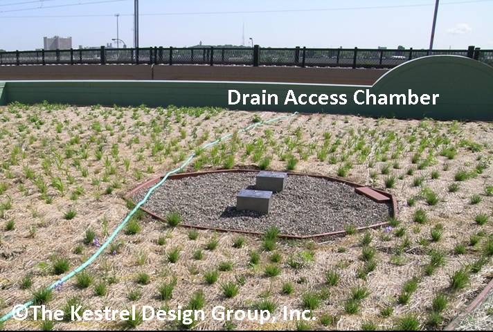 File:Drain Access Chambers at Phillips Eco-Enterprise Green Roof, Minneapolis, MN.jpg
