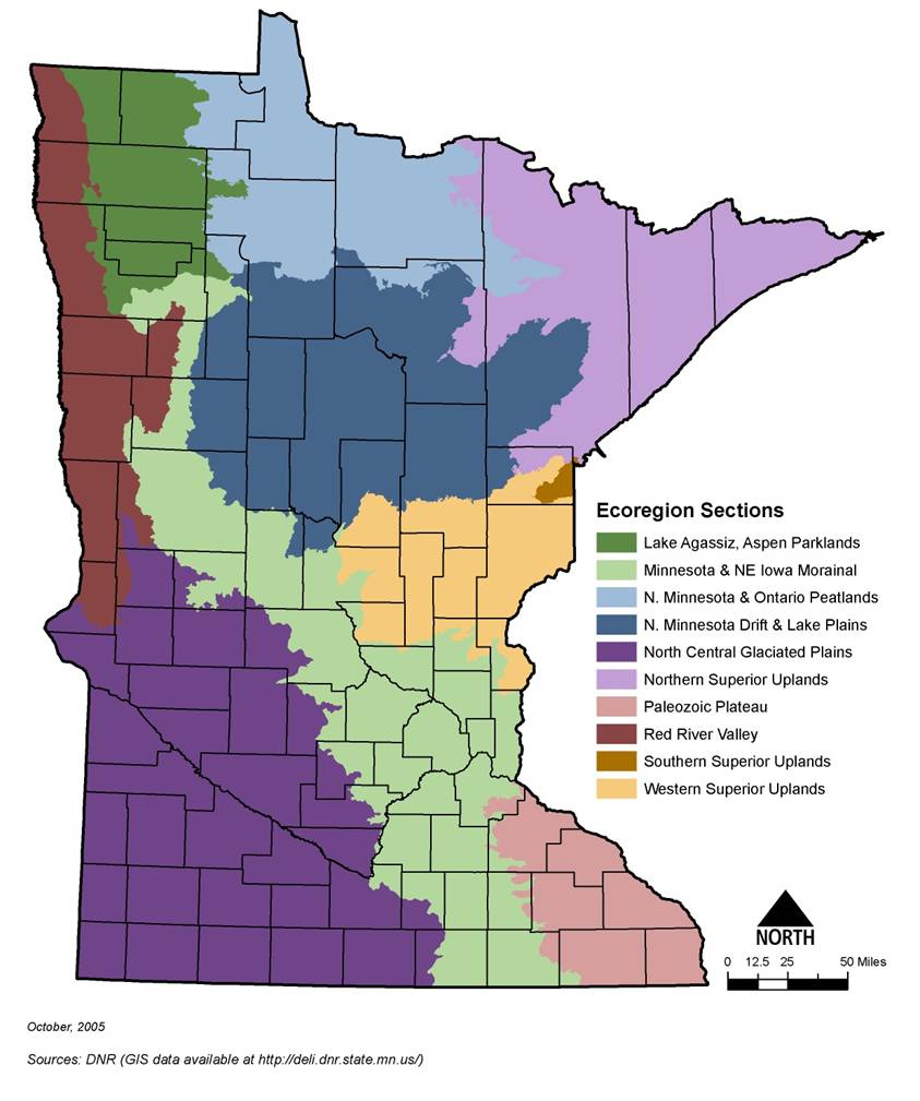 Map showing Minnesota's ecoregions