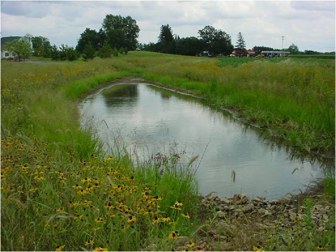 File:Picture of a wet pond 2.jpg