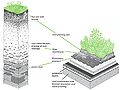 Typical native soil vs. Typical Green Roof Profile.jpg