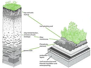 schematic illustrating differences between typical native soil and typical green roof soil