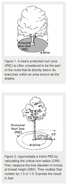 File:Protected root zone.png