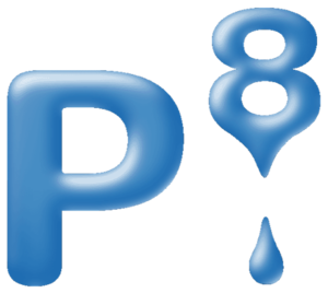 P8 icon