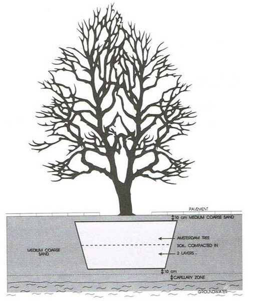 File:Sand based structural soil drawing.jpg