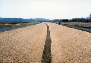 photo erosion control mat