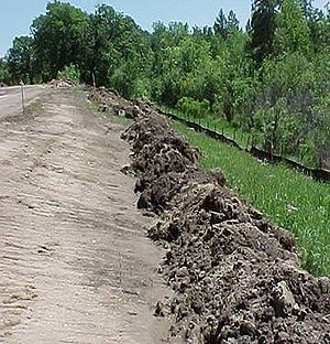 photo showing an example of a vegetated buffer