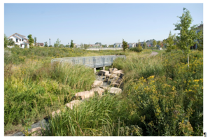 This photo shows a an example of Stormwater Filters in Heritage Park