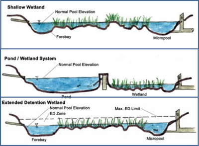 Figure illustrating major stormwater wetland types, including shallow wetlands, the pond/wetland system, and an extended detention wetland