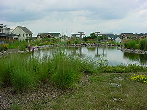 photo of a wet pond