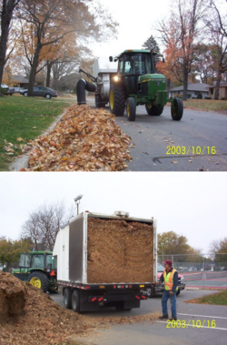 Mankato's leaf vacuum in action, and the resulting mulched leaves.