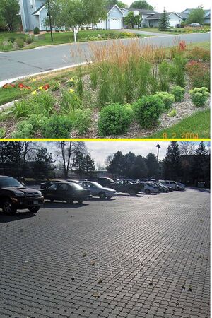 photo of bioretention and permeable pavement