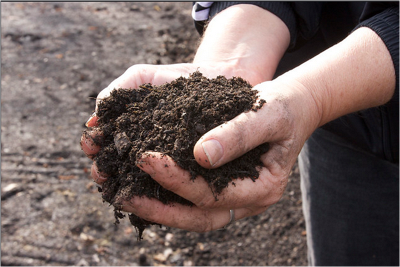 File:Compost image.png
