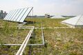 Dakotah green roof and solar panels.jpg