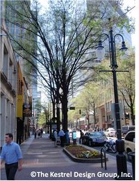 photo of trees in Tryon Mall