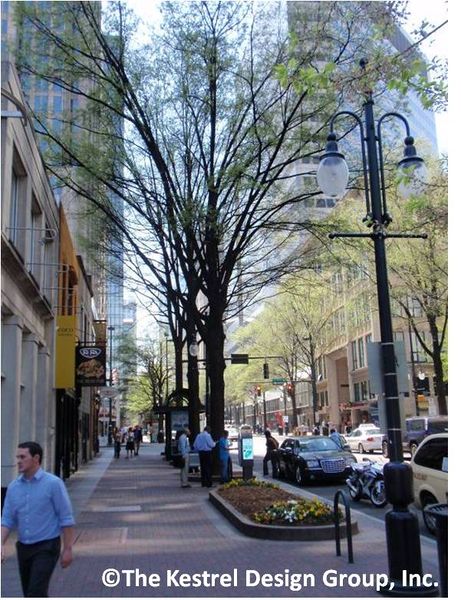File:Trees in suspended pavement Tyron Street Mall.jpg