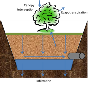 schematic showing volume credits for a tree BMP