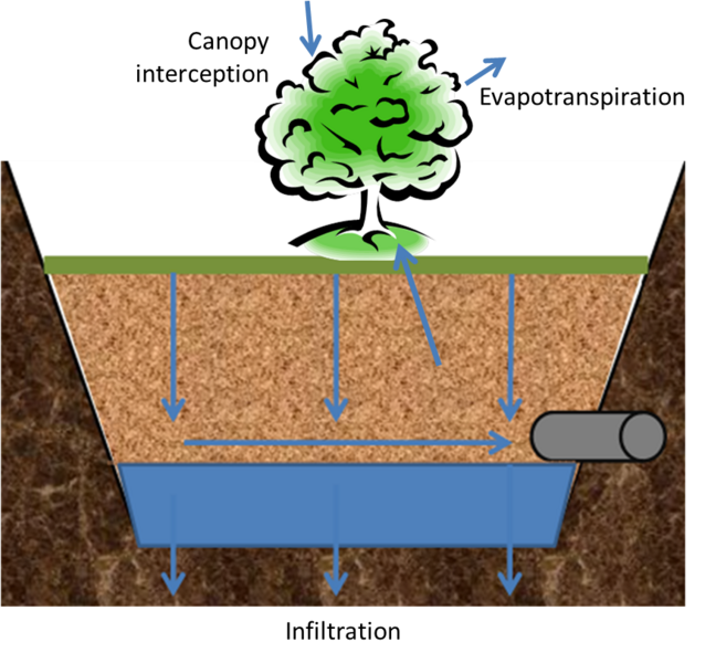 File:Tree trench schematic with interception.png