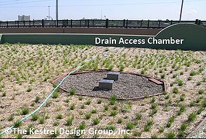 image of drain access chambers at the Phillips Eco-Enterprise Green Roof, Minneapolis, MN